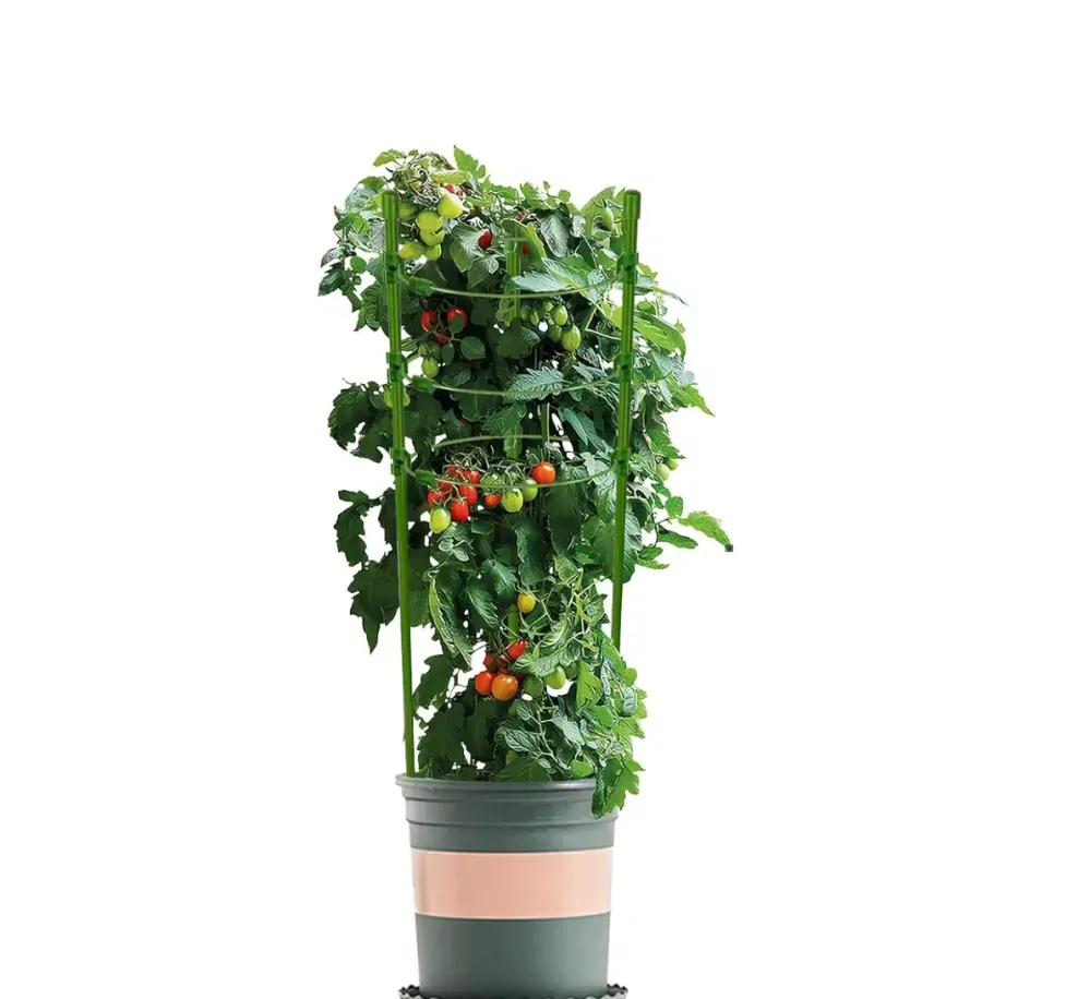 Garlist GPK podpera rastlín kruhová 90 cm 4 prstence